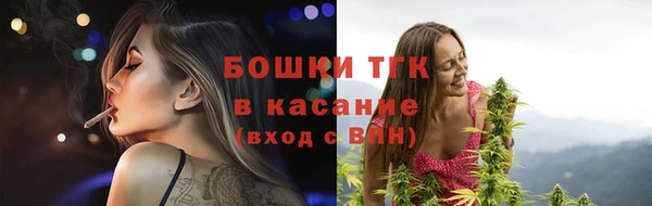 прущие крисы Новозыбков