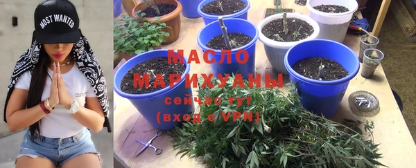 прущие крисы Новозыбков