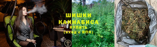 прущие крисы Новозыбков