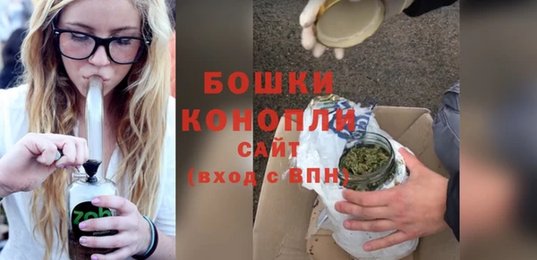 прущие крисы Новозыбков
