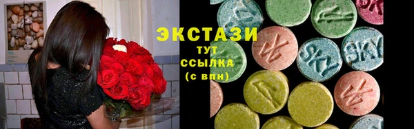 прущие крисы Новозыбков
