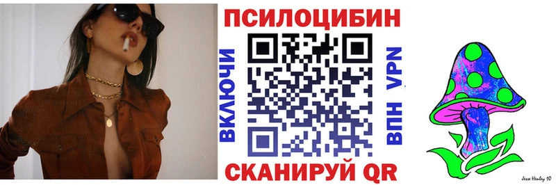 Галлюциногенные грибы Psilocybe  Красково 
